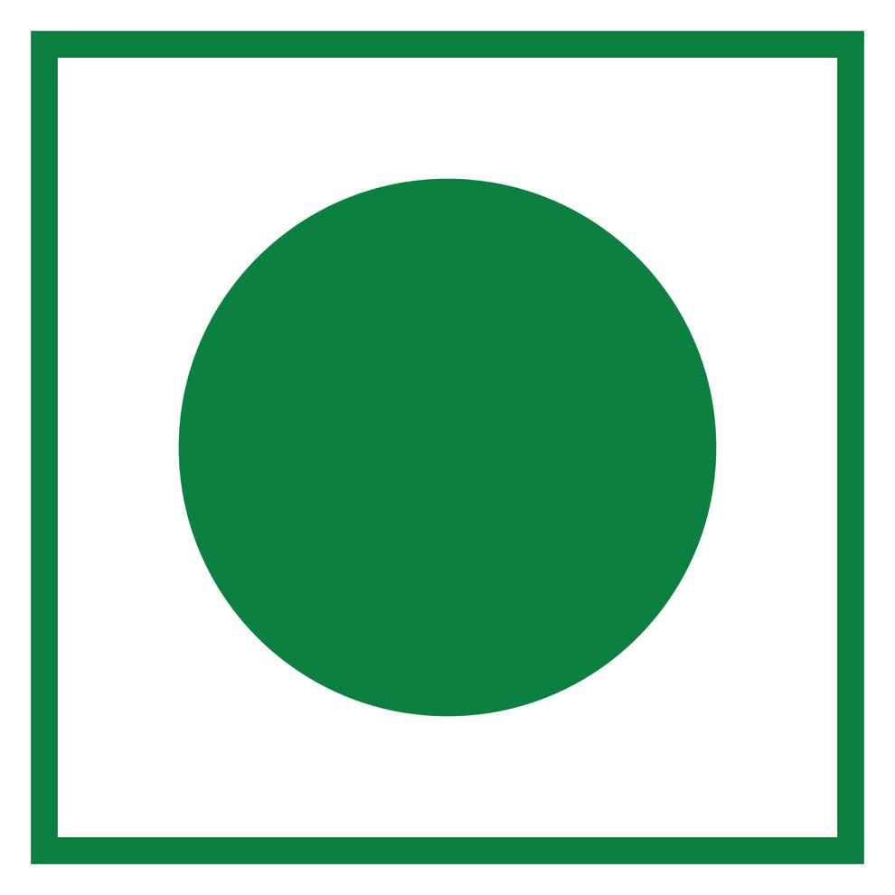 Amazon Plus regular tea premix 1kg logo with green circle and square border on white background